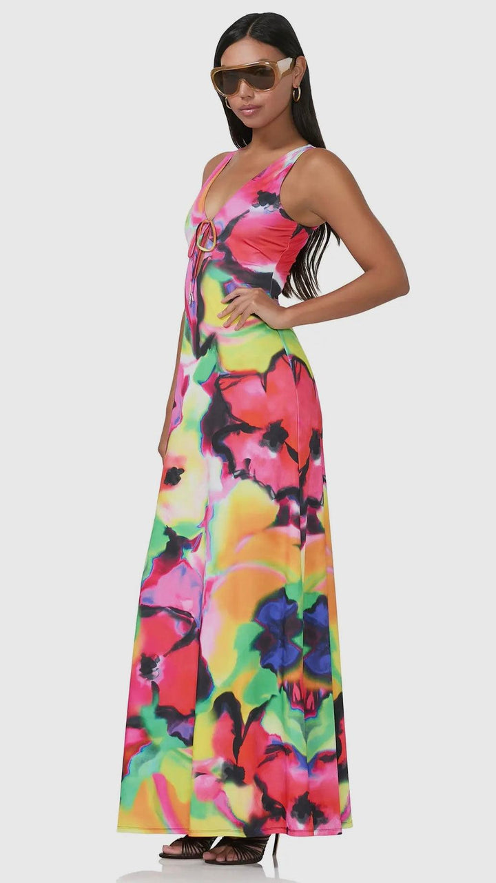 Selena Maxi Dress - Spray Floral