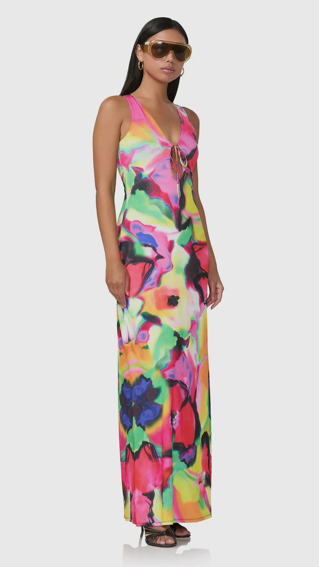 Selena Maxi Dress - Spray Floral